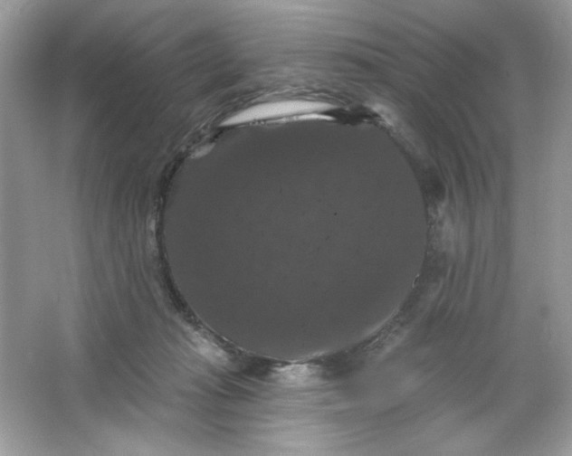 X0000066010269200603171513