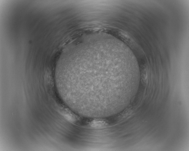 X0000066010270200603171513