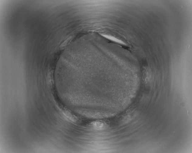 X0000066010272200603171513