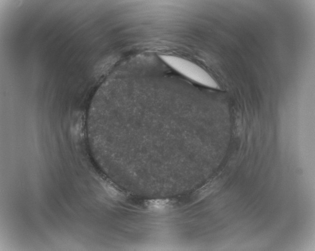 X0000066010273200603171513