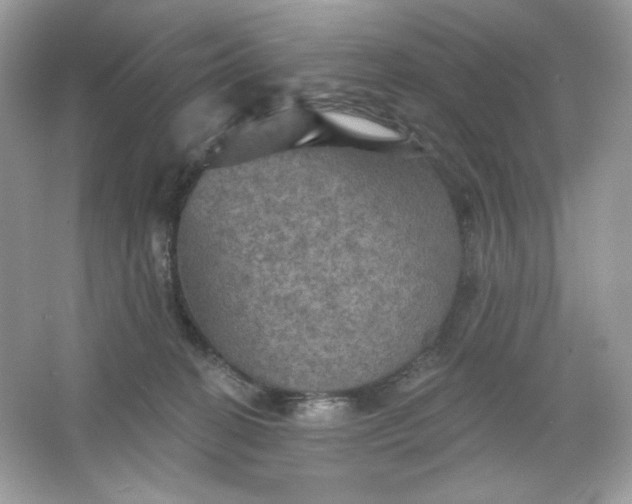 X0000066010274200603171514