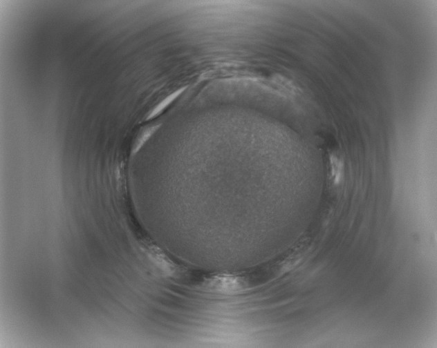 X0000066010276200603171514