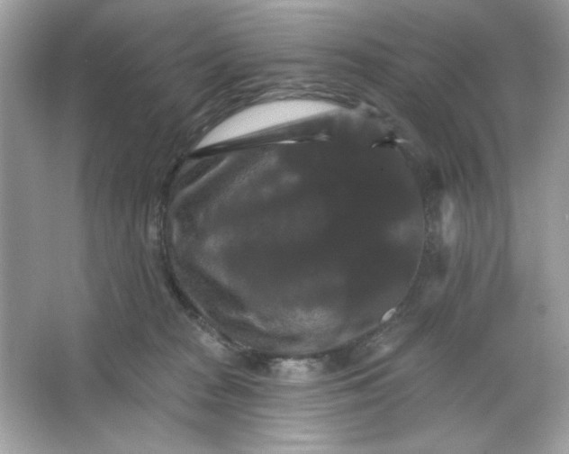 X0000066010277200603171514