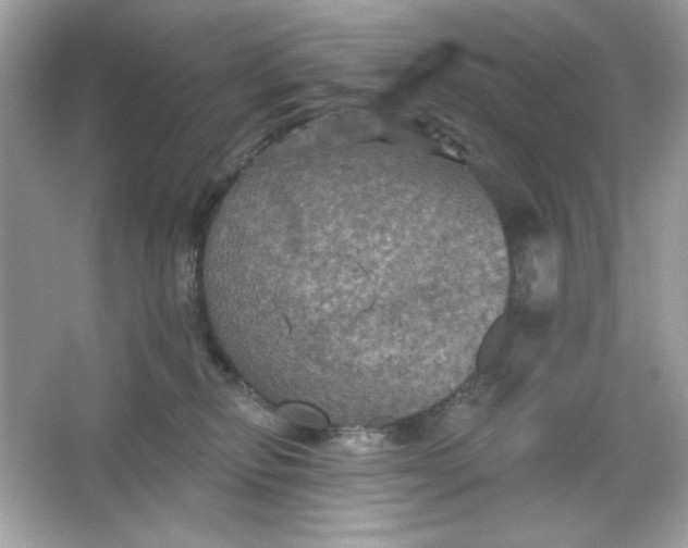 X0000066010278200603171514