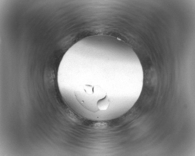 X0000066010279200603171514