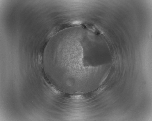 X0000066010281200603171514