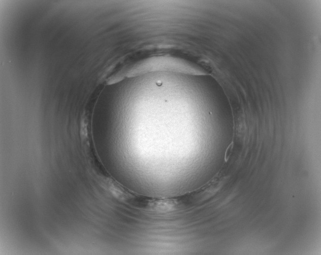 X0000066010282200603171514