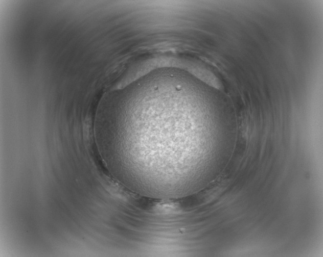 X0000066010283200603171514