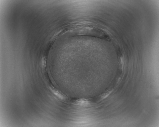 X0000066010284200603171514