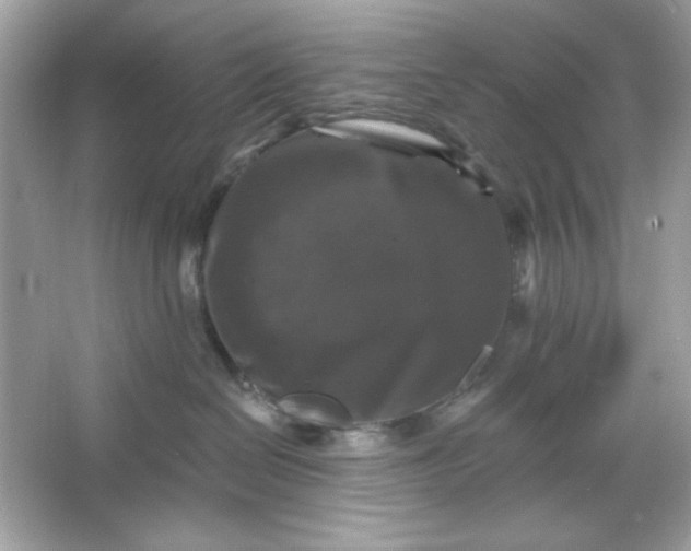 X0000066010286200603171514