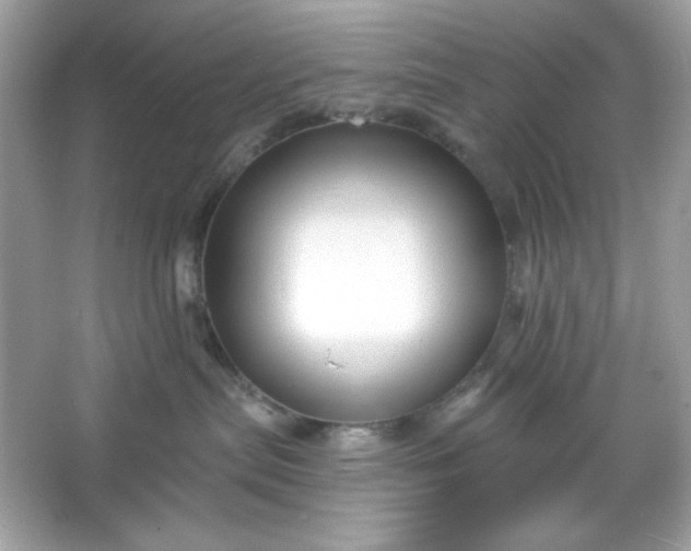 X0000066010287200603171514