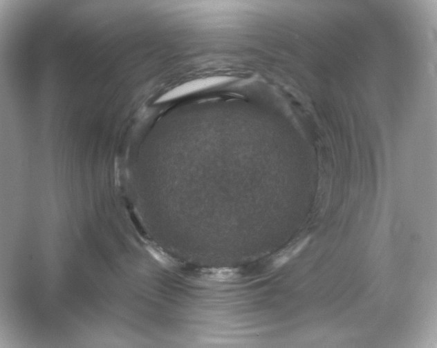 X0000066010288200603171514