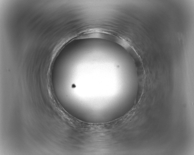 X0000066010289200603171513