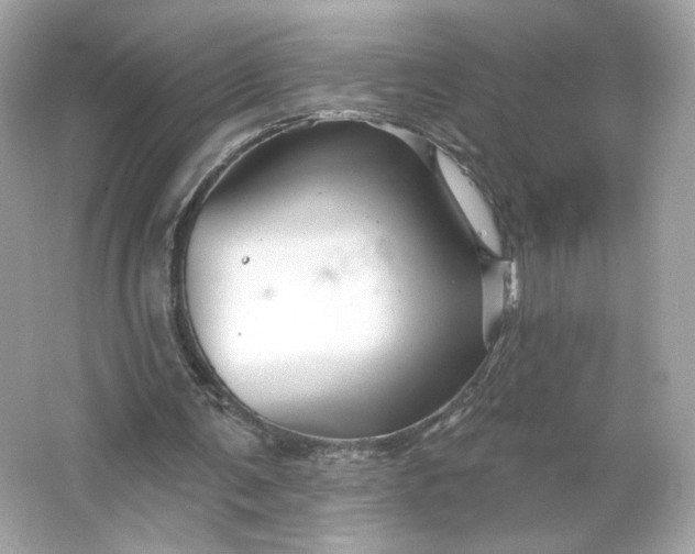 X0000066010291200603171513