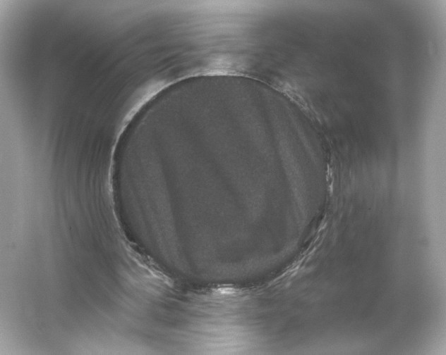 X0000066010292200603171513