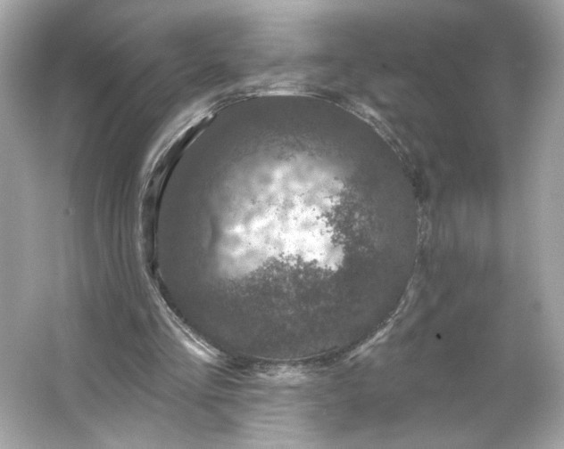 X0000066010293200603171513