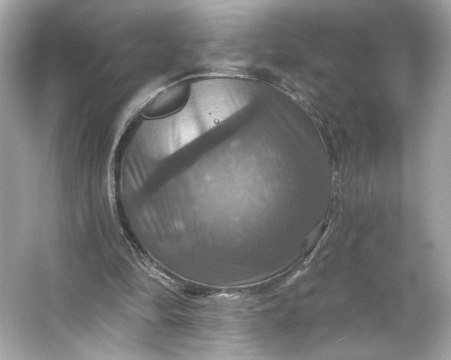 X0000066010294200603171513