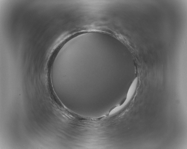 X0000066010295200603171513