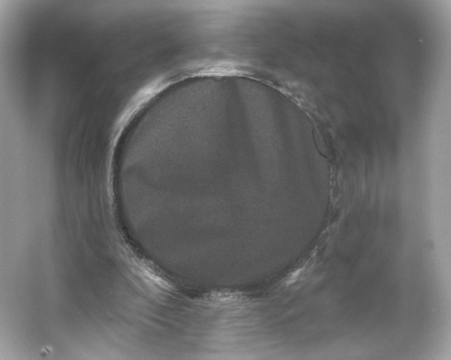 X0000066010296200603171513