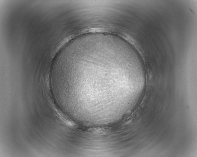 X0000066010297200603171513