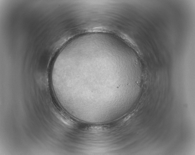 X0000066010298200603171513