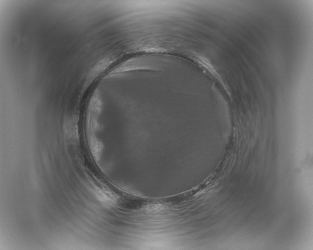 X0000066010299200603171513