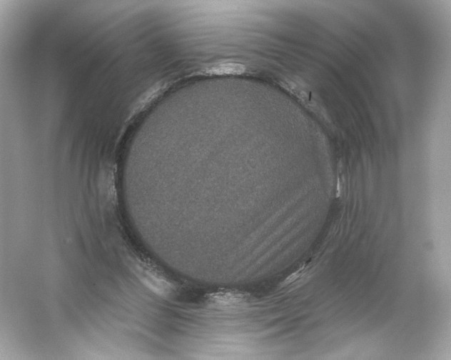 X0000066010300200603171513