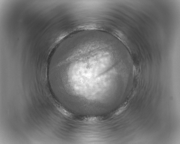 X0000066010301200603171513