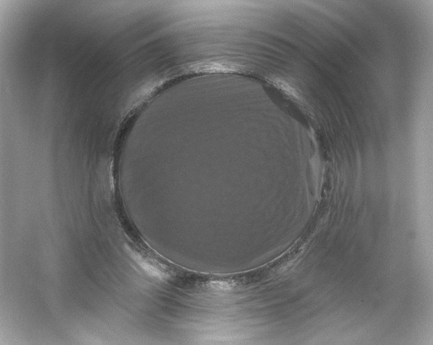 X0000066010302200603171513