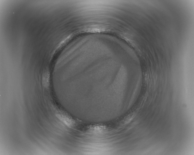 X0000066010304200603171513