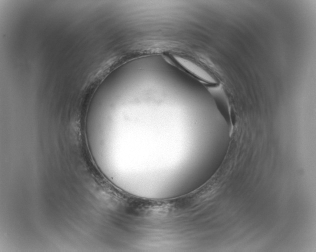 X0000066010306200603171513