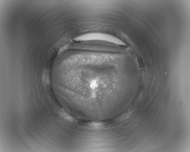 X0000066010313200603171513