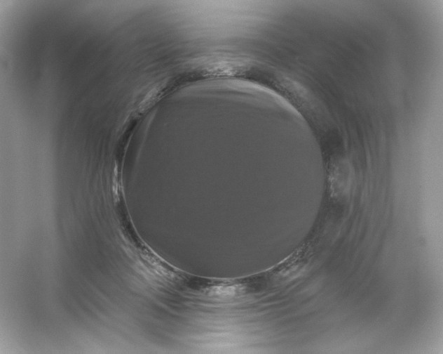 X0000066010314200603171513