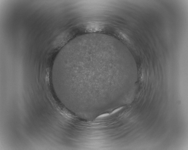 X0000066010315200603171512