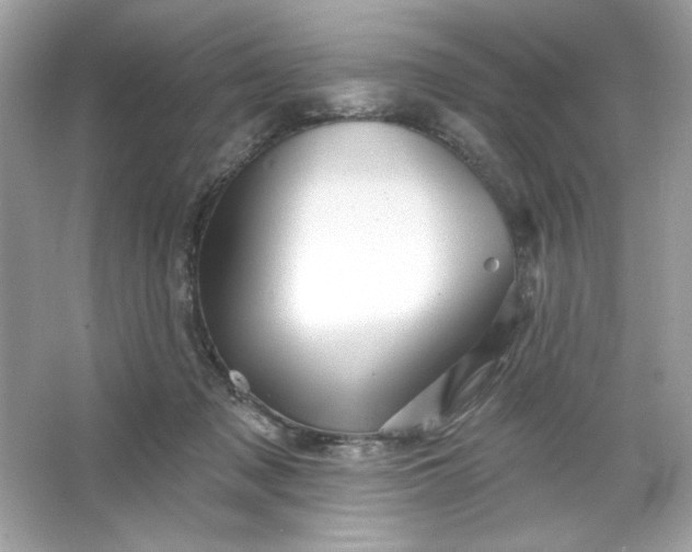 X0000066010317200603171512