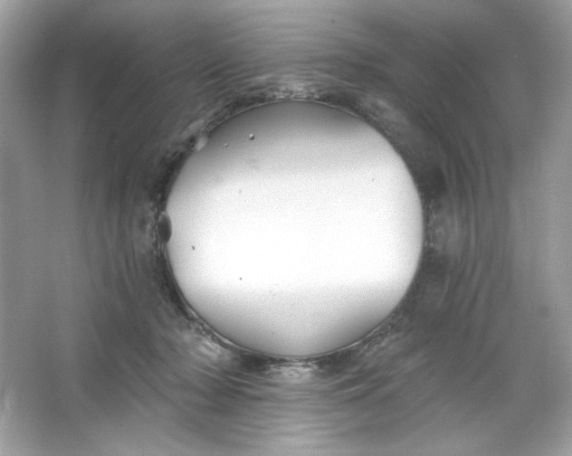 X0000066010318200603171512