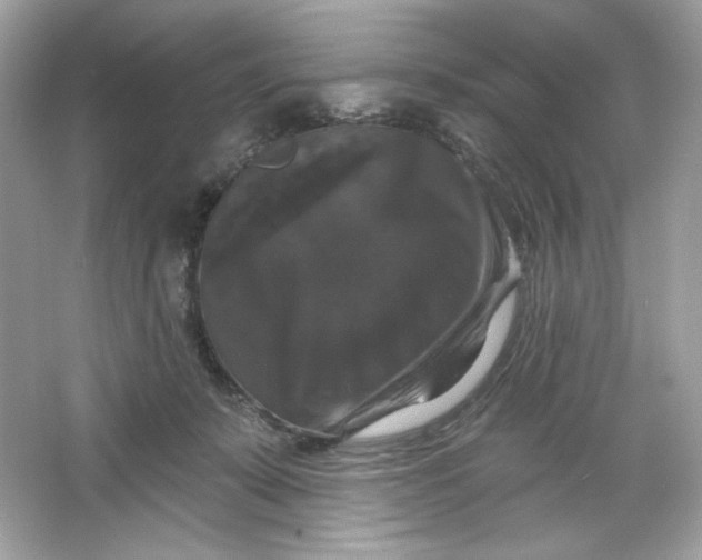 X0000066010319200603171512