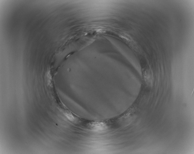 X0000066010322200603171512