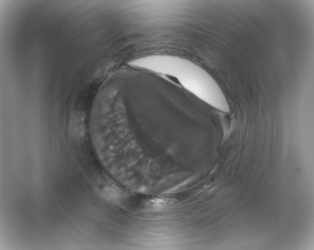 X0000066010323200603171512