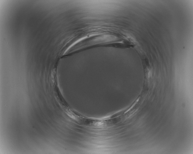 X0000066010325200603171512