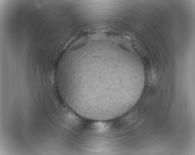 X0000066010326200603171512