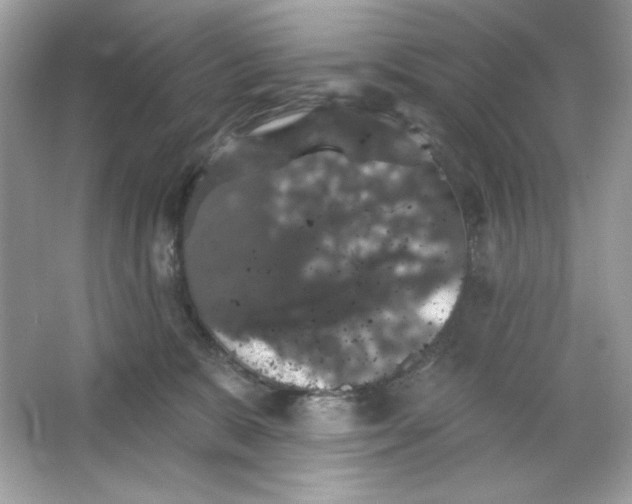 X0000066010327200603171512