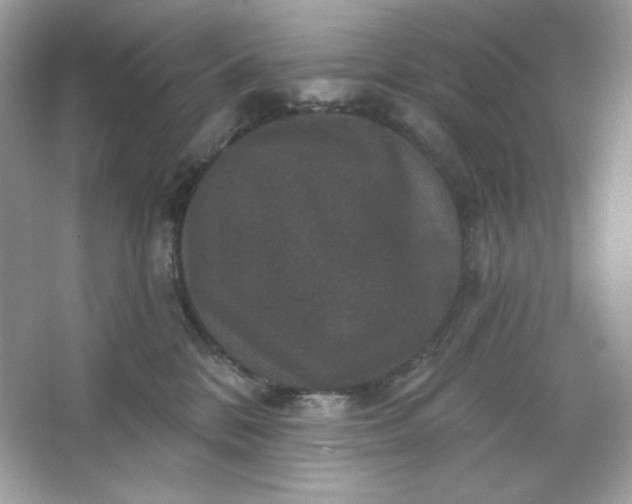 X0000066010328200603171512