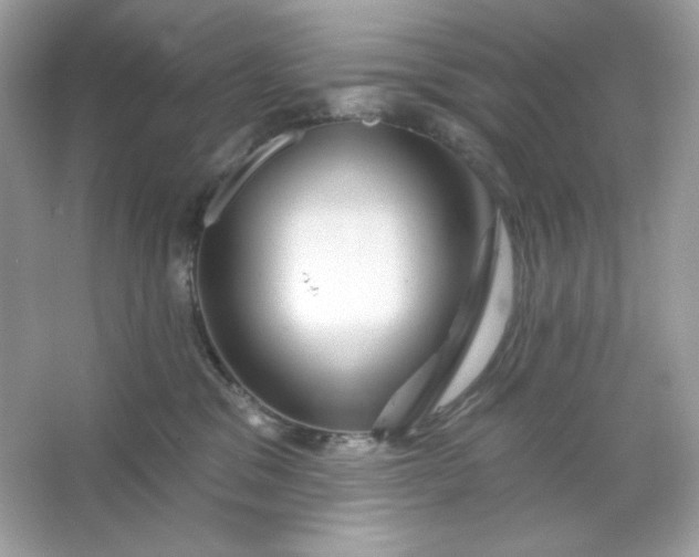 X0000066010329200603171512