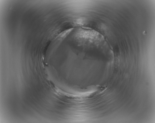 X0000066010331200603171512