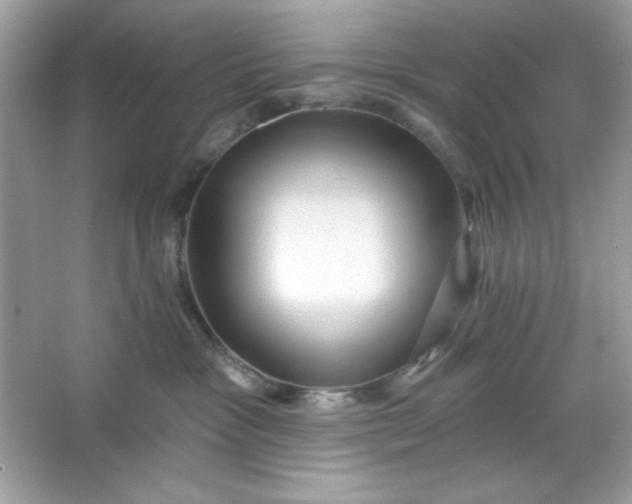 X0000066010333200603171512