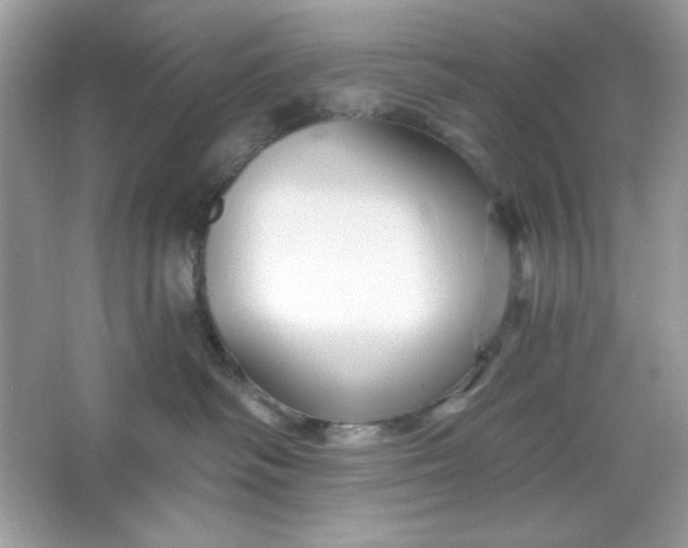 X0000066010334200603171512