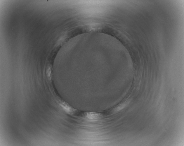 X0000066010336200603171512