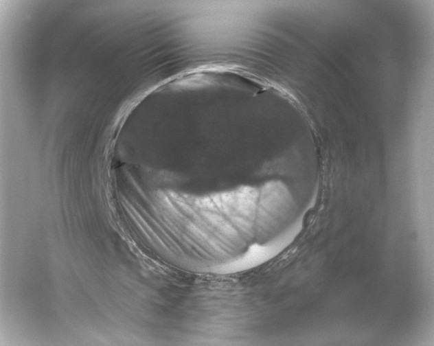 X0000066010337200603171511