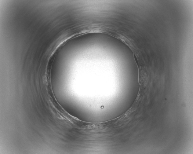 X0000066010338200603171511